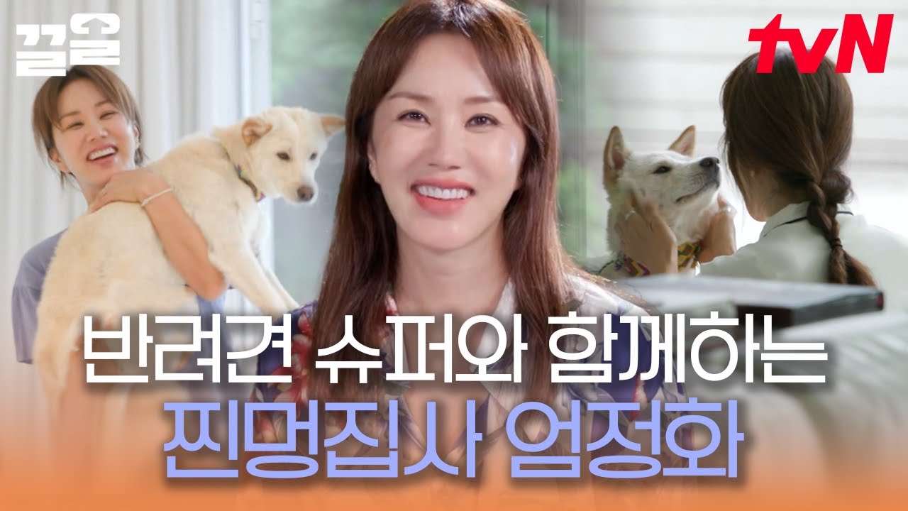 심심할 틈 없는 반려견 슈퍼와 엄정화의 휴식 시간💛 이제는 뗄 수 없는 사이가 된 둘 | 온앤오프