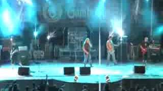 CALIBOS LIVE 2008 - JEHLA