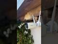 ZOSI AuroraLux 5MP Outdoor WiFI Kamera #zosi #zosicamera #wifi #outdoor #kamera #sicherheitskamera