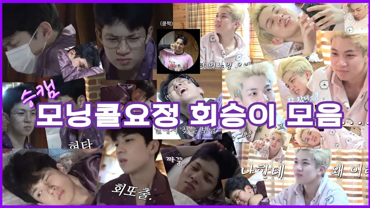 [𝙉𝙛𝙡𝙮𝙞𝙣𝙜유회승] 최근 모요 언급부터 승캠 모닝콜요정 회승이모음💜 어모회(어차피모요는회승이)