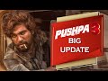 Allu arjuns pushpa 3 movie big update  pushpa 2 movie release date
