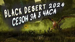 Быстрое развитие Сезон за 3 Часа в Black Desert 2024 Тувала на 20 Сезонная Подписка бдо