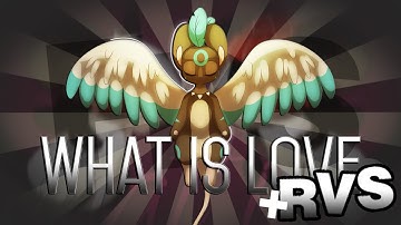 TRANSFORMICE MEP - WHAT IS LOVE