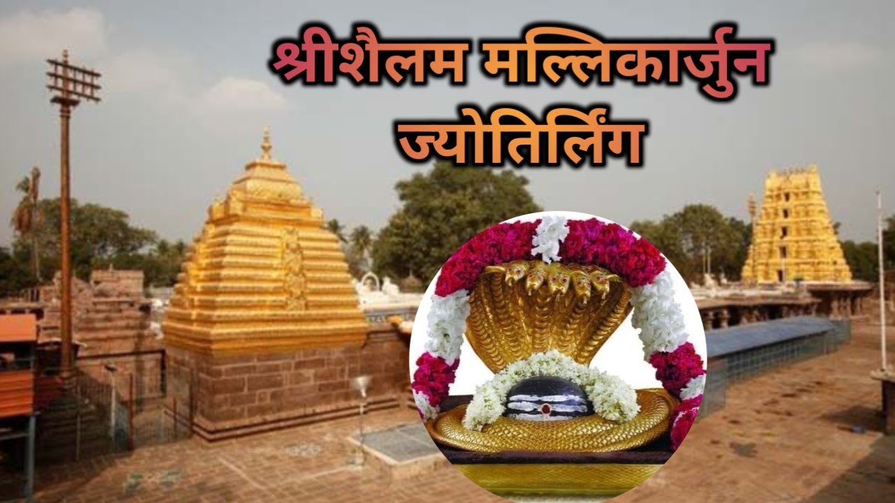 Aaj mere 12 jyotirling ke darshan pure hue 😭 🥹🙇 आज मेरे 12 ज्योतिर्लिंग दर्शन पूरे हुए 