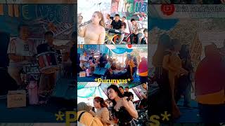 Download Lagu Purunyus - Goyang Asik Koplo Bajidor #shorts MP3 Download Lagu Purunyus - Goyang Asik Koplo Bajidor #shorts MP3