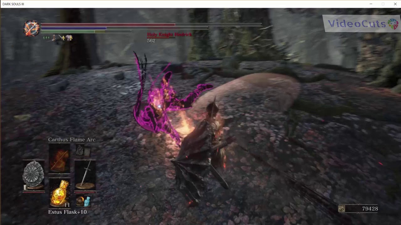 DS3 : Road of Sacrifices and Holy Knight Hodrick