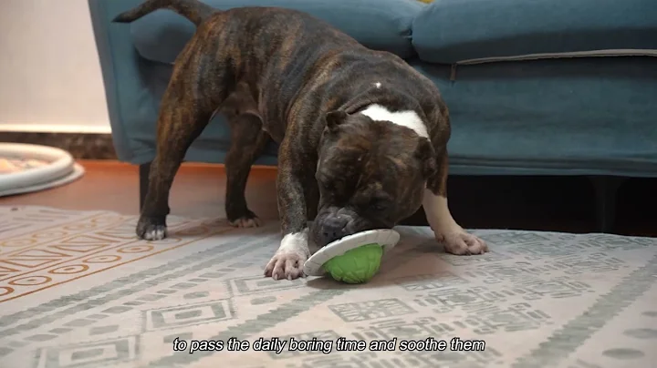 Dog/Cat Toys Manufacturer Pet Supplies Manufacture...