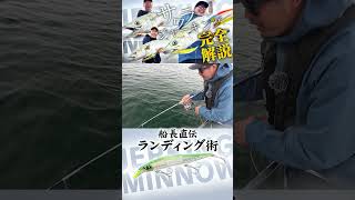 サワラを確実にキャッチするためのランディング術 #shorts