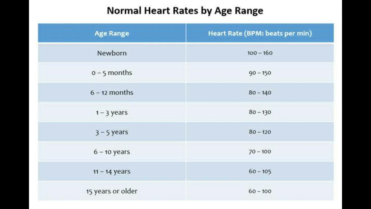 What is Normal Heart 💓 Rate by Age YouTube