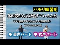 体の芯からまだ燃えているんだ / シン(阿部サダヲ)&ふうか(吉岡里帆)(ハモリ練習用) 歌詞付き音程バー有り、あいみょん(作詞・作曲)