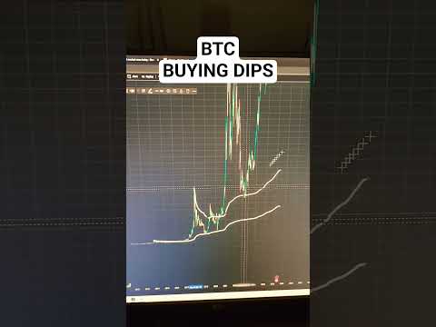 Bitcoin Price Target $100,000