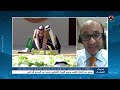 الشامي: اليمن بحاجة لتمد يدها لكل الأطراف وآخر ما تحتاجه أن يكون لها مقاطعة مع أي طرف