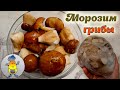 Как МОРОЗИТЬ ГРИБЫ на зиму - крутой кулинарный ЛАЙФХАК!