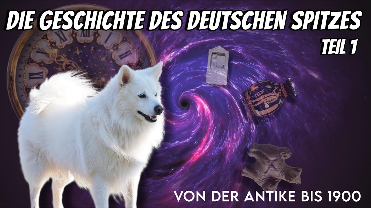 Die Geschichte des Deutschen Spitzes von der Antike bis 1900