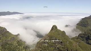 Relax and Calm Your Mind | Quran recitation by Sheikh Osama Al-Wajdi (Al-Insan) #satisfying