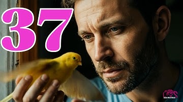 New Eritrean Audio book video እቲ ዘይሩጉእ እዋን- ምዕራፍ 37