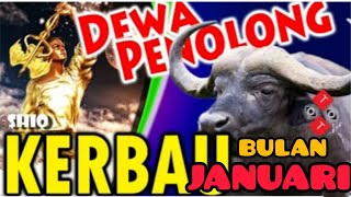 RAMALAN SHIO KERBAU bulan JANUARI 2023, akan datang DEWA PENOLONG tepat pada WAKTUNYA
