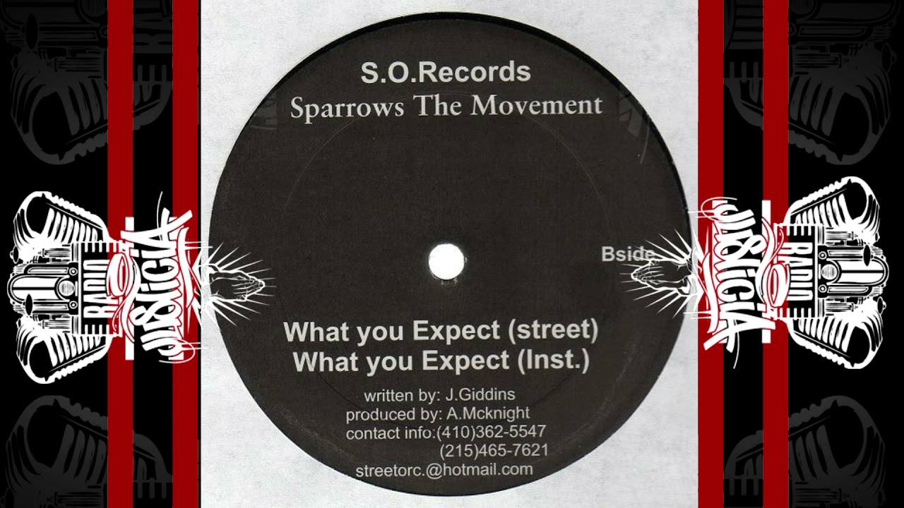 Sparrow The Movement / What You Expect