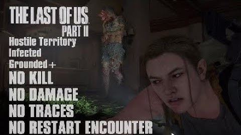TLOU2 | Hostile Territory Infected | Grounded+ | NO KILL | NO DAMAGE | NO TRACES | NO RESTART | Abby
