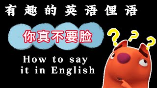 有趣又实用的英语俚语让你的英语更地道|Interesting English slangs you should  know. Slangs in movies