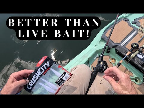 Don't go fishing WITHOUT THIS - I did not expect it to be this good!