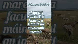 Psalmul 953-7 Voce Marcel Iures