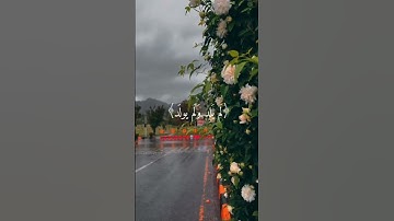 سورة الإخلاص-ماهر المعيقلي/إستمع إلى بعض آيات من الذكر الحكيم /@shams.aliashiraq
