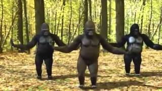 Carimbo do macaco