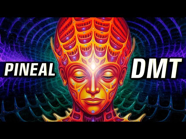 CAUTION ✋ DMT Will Be RELEASED into Your PINEAL GLAND ((VERY POWERFUL)) class=