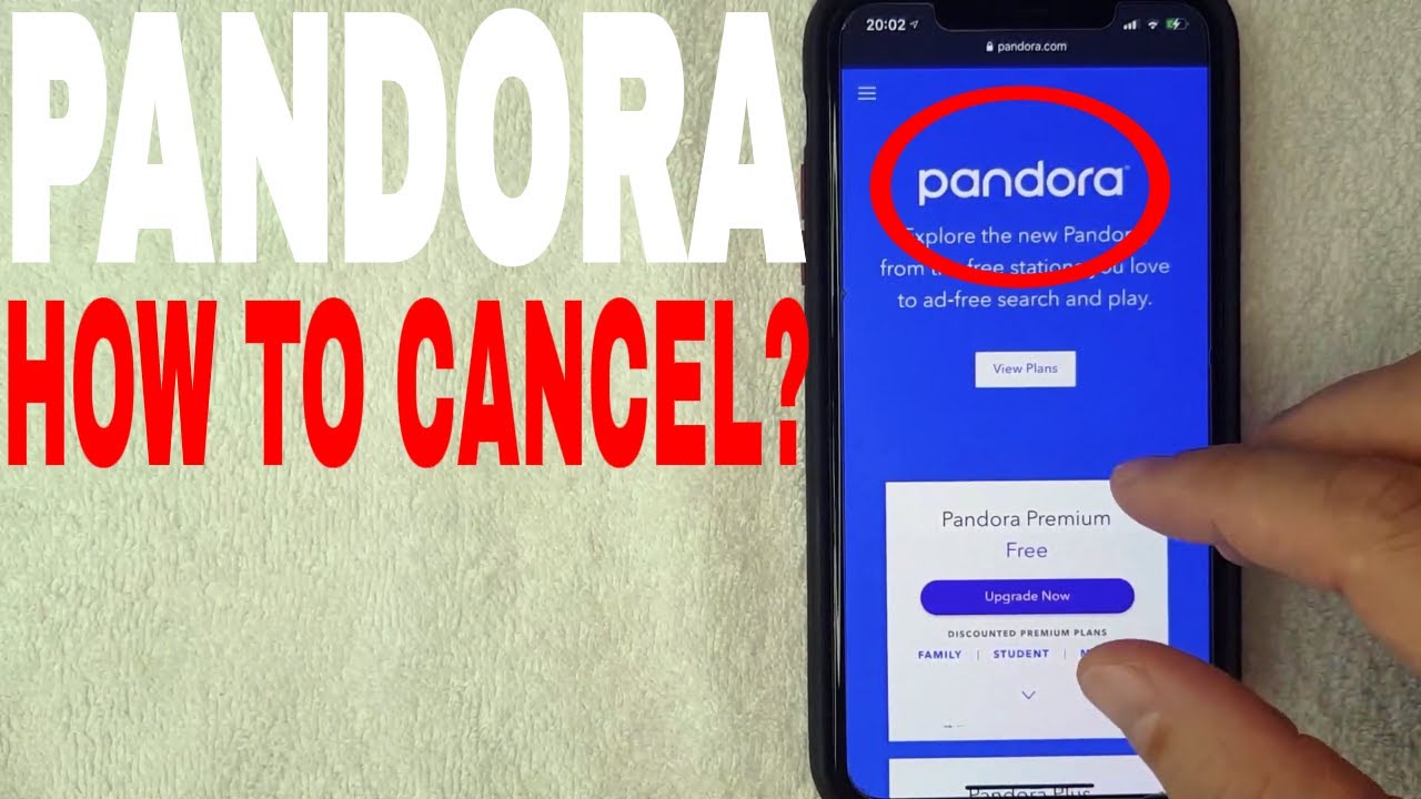 How Do I Remove My Credit Card From Pandora?