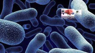 IPAC Cleaning Guidelines Video