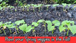 Plant a Spring garden in the Fall for amazing results