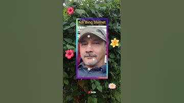 Adi Bing Slamet _ Dulu Dan Sekarang #artist #indonesia #penyanyi #music #legend