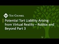 Part 3: Potential Tort Liability Arising From Virtual Reality - Roblox and Beyond