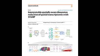 106-STAMP: Decoding Patterns in Spatial Transcriptomics