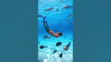 Under water  island of Bora Bora