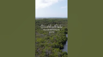 #ماهرالمعيقلي الآيات من 25 إلى 29 من سورة الحاقة