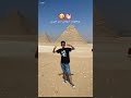 هتلفى ألفة وترجعى   