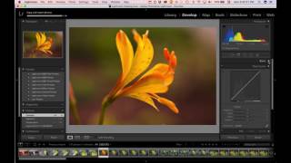 Lightroom Overview