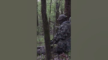 Thumbnail of Turkey Season sounds 🦃