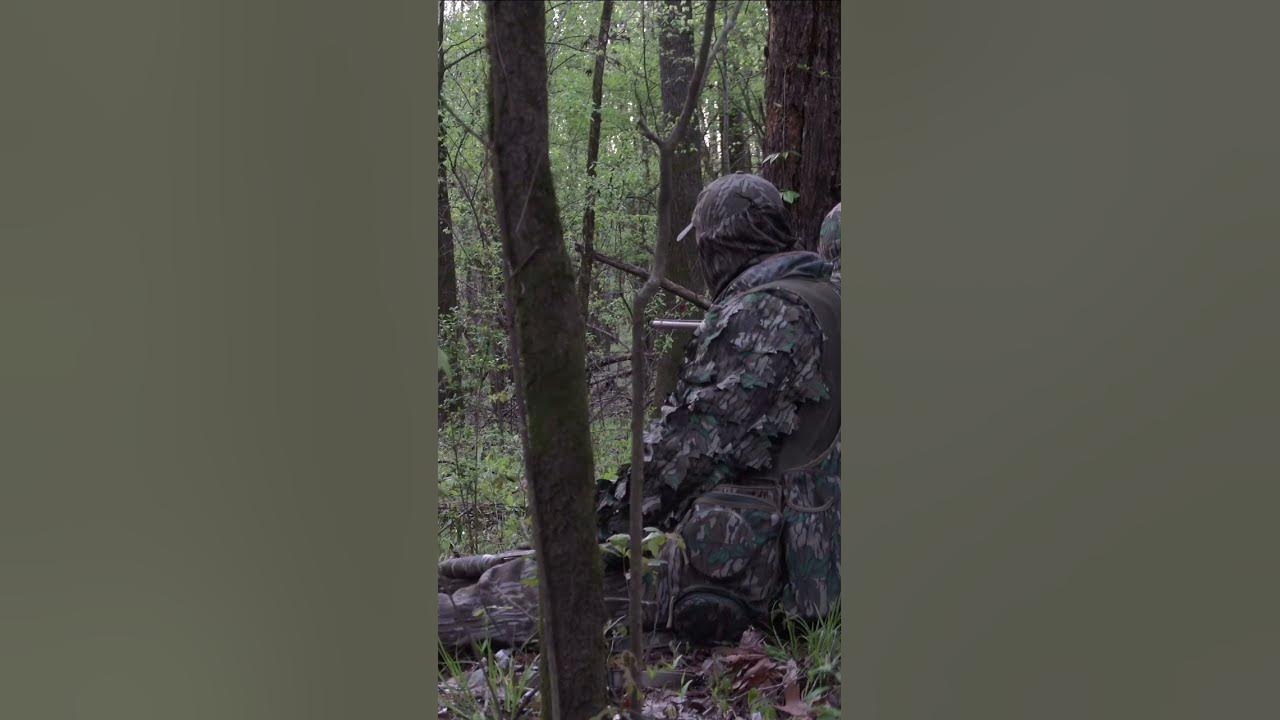 Turkey Season sounds 🦃