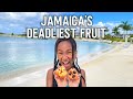 We Tried Jamaica’s Poisonous National Fruit... Ackee!