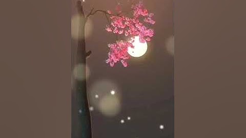 قراءة طيبة للشيخ : أيمن دواغره حفظه الله من أواخر سورة الزمر.