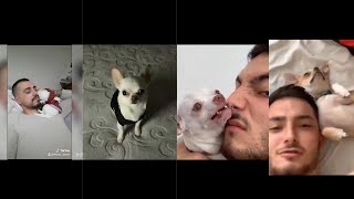 mreviatar tiktok vs murat noyan tiktok/angry niki chihuahua vs cute chihuahua (funny tiktok videos)