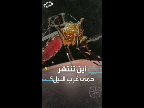 أين تنتشر حمى غرب النيل