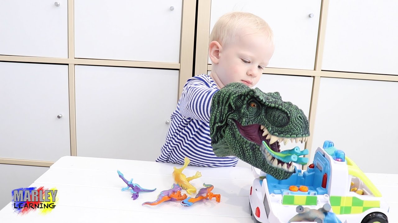 Marley learning dinosaurs counting count dinosaurs in an ambulance t