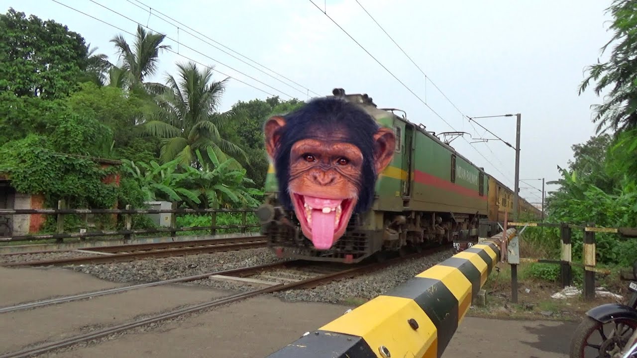Dangerous Chimpanzee Headed Silchar Express Furious Moving Throughout at Railgate Crossing 