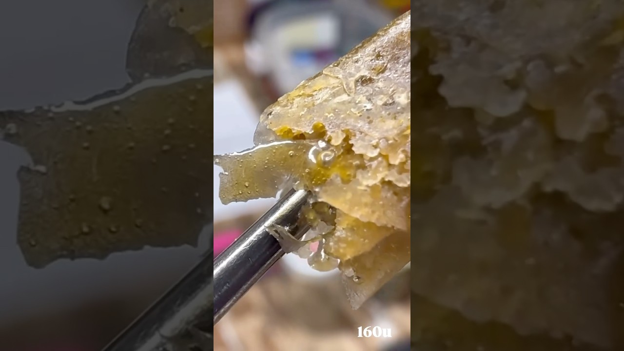 Pressed some fresh 🍓 🍇Major fruity terps coming through on this 1🤙