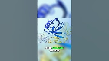 Alpha Proteo: Google DeepMind’s Revolutionary Protein Designer