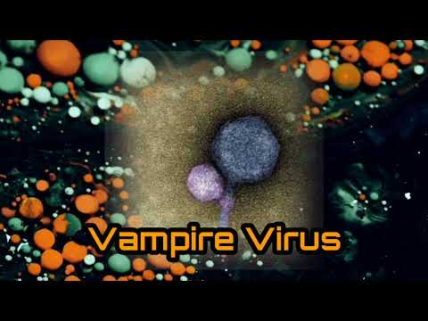 VAMPIRE VIRUS